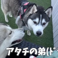 改めてドヤ顔で赤ちゃんを紹介