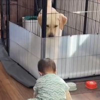 会話ボタン
