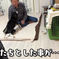 「ハッ！つい甘えてしまった…」