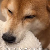 愛おしいお出迎えにホッコリ♡