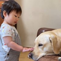 優しくナデナデ
