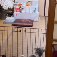 傍に行きたくて…