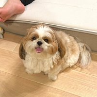 魅力いっぱいのぽこちゃんでした