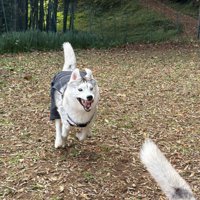 夢中になりすぎて…