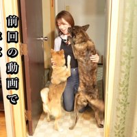 お客さんに飛びついて歓迎♪