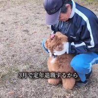 3月に定年退職を迎えるおじさん