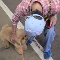 しゃがんで犬を撫でる人
