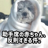 とっても寒がりなたろうまるちゃん