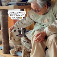 ララちゃんとユーザーさんの再会7