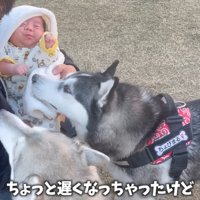 親友のちょびちゃんに赤ちゃんを紹介
