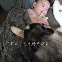 諭吉くんと赤ちゃん8