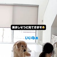 子育て中の家族とこてつ君の日常6