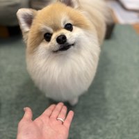 はて？