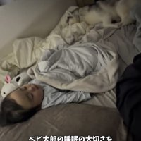 赤ちゃんの足元で伏せる犬