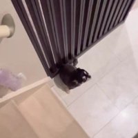 「大丈夫だった？」