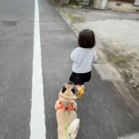 少しずつ近づいて…