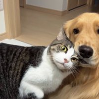 仲睦まじい姿にホッコリ