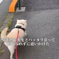 急いで追いかけます