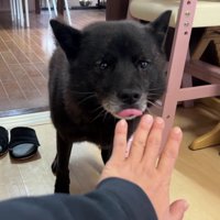 どうしても心配…