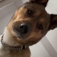 「早く起きて」