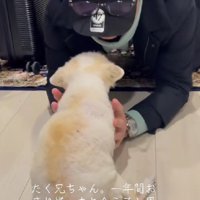 たどり着いたよ！！