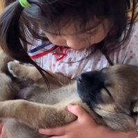 優しい眼差しで子犬を見る