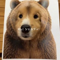 クマの顔にすっぽり収まる犬