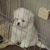 トイレを失敗してしょんぼり
