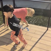 靴を拾いに行く男の子と靴を覗き込む犬