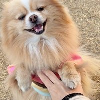 撫でられてニッコリ♡