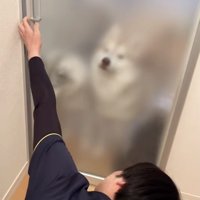 ソワソワ…