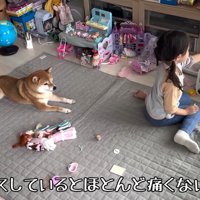 遊んでいる時も近くで見守ります