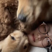 女性を囲む3匹の犬