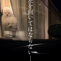 車の窓から見た外の風景