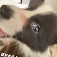 空ちゃんに異変が…