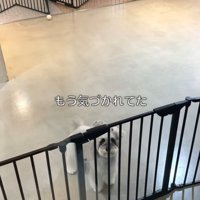 お迎えに来たら…