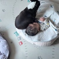 こんぶちゃんと赤ちゃん3