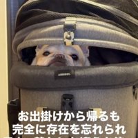 帰宅したけれど…