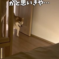 戻ってきた！