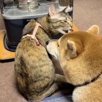 種族を超えて、とっても仲良し