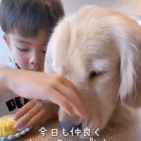 いつだって仲睦まじいふたり
