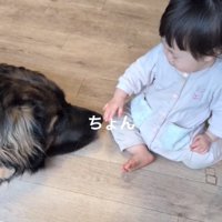 バオバオくんの鼻を触る娘さん
