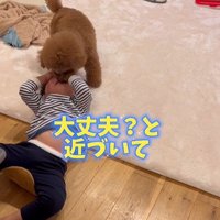 男の子を心配するレオくん2