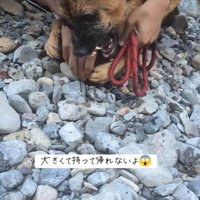 怒りながら抵抗！