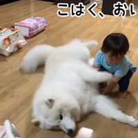 何度も挑戦したけど…