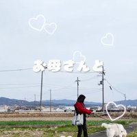 飼い主とゆっくり散歩をするおじいちゃん犬