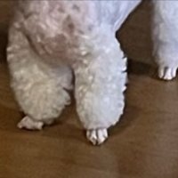 パンツ