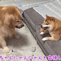 毅然とした態度で注意