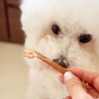 怒るまるちゃん