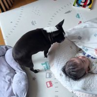 こんぶちゃんと赤ちゃん